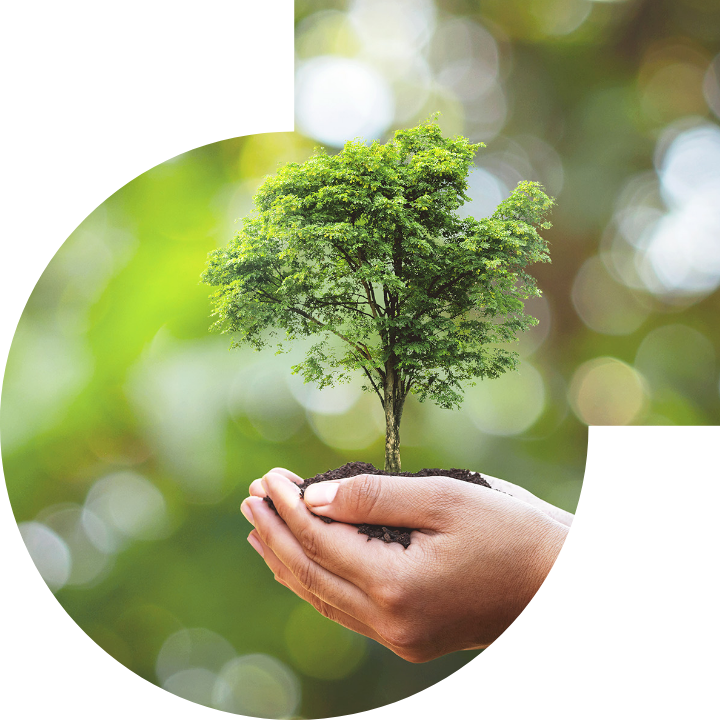 关怀人类、文化、环境与社会